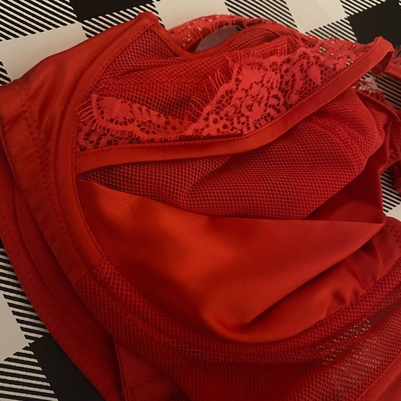 Zoya Curve Fishnet and Lace Plunge Bra - Picture 4 of 5